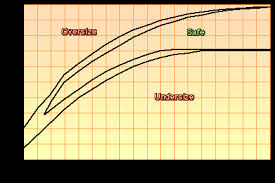 sheltie size