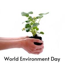World environment day (weed) is a campaign which is celebrated every year on june 5 by the people of the world. Happy World Environment Day 5 June Theme Images Quotes World Environment Day Environment Day World Environment Day Essay
