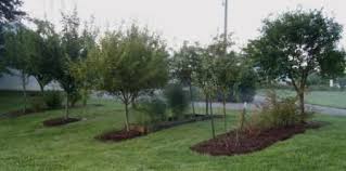 We did not find results for: Planning An Orchard Fruit Garden Orchard Garden Growing Fruit Trees