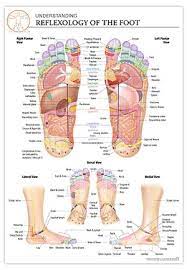 Pin On Hand Reflexology