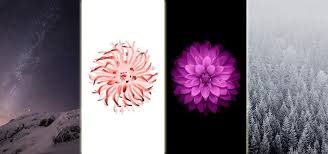All of these flower background images and vectors have high resolution and can be used as banners, posters or wallpapers. Download All 15 Wallpapers From Ios 8 Right Now Ios Iphone Gadget Hacks