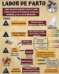 Pin On Medicina