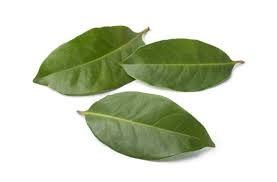 Manfaat Daun Salam, Tak Cuma Menyedapkan Masakan - HiMedik.com
