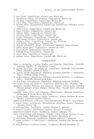 Image result for Plumbago ituriensis