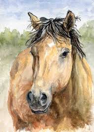 Buckskin overo paint horses for sale buckskin overo paint horses. This Pretty Buckskin Mare Reminds Me Of Dale Evans By Tapestry316 8 00 Horse Painting Horse Art Horses