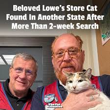 What dat dog doin'?!" 😹 (Via