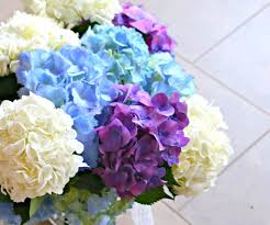 Check spelling or type a new query. How To Make Flowers Last Longer 8 Steps With Pictures Instructables