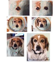 Mr Doogers A Needle Felted Memorial Portrait Kece Igneleme Tablolar Kopek