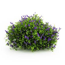 Scanline 3d Model 3d Model Plants Photoshop Landscape Tree Photoshop