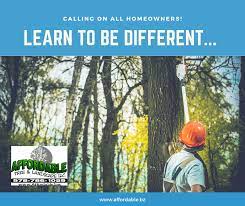 Affordable Tree And Landscape Offers Tree Removal Services For Those Located In The Area Of Westminster Snow Removal Services Tree Service Tree Removal Service