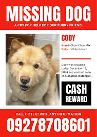 Pls call us if u saw our furbaby