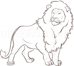 Below the head sketch out the torso of our lion. How To Draw A Lion Step By Step Drawing Guide By Dawn Dragoart Com