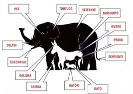 Ver más ideas sobre juegos mentales, acertijos mentales, acertijos. Parece Sencillo Pero Es Realmente Dificil Encontrar A Todos Los Animales Juegos Mentales Imagenes Acertijos Mentales Juegos Mentales