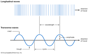 Longitudinal And Transverse Waves Students Britannica Kids Homework Help