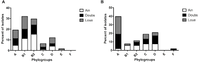 To apply for a malaysian driving license, these are the criteria you need to know. Frontiers High Prevalence Of Human Associated Escherichia Coli In Wetlands Located In Eastern France Microbiology