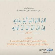 شعر عن اللغة العربية للمتنبي