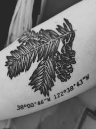 I'm a tattoo and piercing artist from the north west of the uk co own a studio with my fiancé who does laser removal and skin rejuvenation in the studio. Pin By Sam Palmieri On Tattoos Tattoos Redwood Tattoo Sister Tattoos