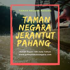 Galeri aktiviti pakej adz team. Pakej Taman Negara Pahang 2021 2022 Pakej Taman Negara Pahang 2021