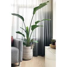 Ana sayfa ›› ürünler brillant renk geçişli tül perde olarak etiketlendi. Ø§ÙÙÙØ¦Ù ÙÙØ±Ø¨ Ø§ÙØ²Ø¨ÙÙ Degrade Renk Gecisli Tul Pleasantgroveumc Net