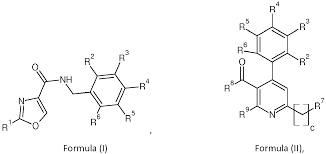 Image result for Galium chloroionanthum