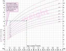 Growth Charts Zero To Finals