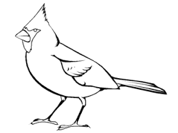 Welcome to the bird coloring pages page! Northern Cardinal Coloring Page Bird Coloring Pages Coloring Pages For Kids Coloring Pages