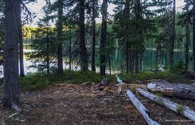 I Heart Pacific Northwest