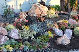 Apr 19, 2021 · i wanted to show you my oldest creation. Succulent Tapestry Hardscape Southwest Boulder Stone Succulent Garden Outdoor Succulent Landscape Design Succulent Landscaping