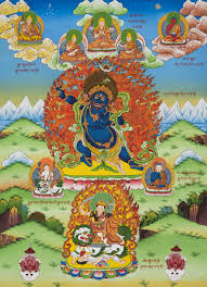 Image result for Tragia rupestris