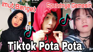 Queremos que las cosas sean simples para usted. Tiktok Pota Pota Tiktok Viral Imut Banget Part1 Youtube