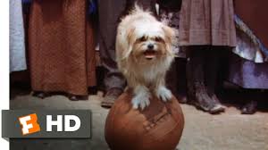 Like all the lassie sequels turned out by mgm between 1943 and 1951, lassie come home was lensed in technicolor. Lassie Come Home 7 10 Movie Clip The Tootsie Lassie Show 1943 Hd Youtube