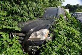 Maybe you would like to learn more about one of these? Kereta Mewah Dibiarkan Mereput Oleh Tuan Mereka Di Lot Parkir Ini