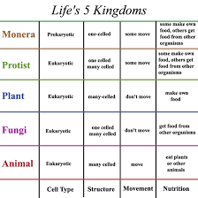 72 Judicious 5 Kingdoms Of Classification