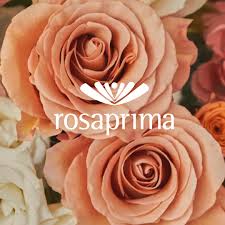 Flowersandcnets.com interview with Bill LaFever, President of the Bill  Doran Company