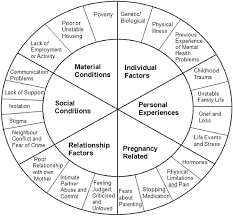 Things are a little different for the that '70s show star since he first bought his virgin galactic ticket. Women S Mental Health During Pregnancy A Participatory Qualitative Study Women And Birth