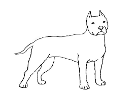 Learn How To Draw A Pitbull With This Free And Easy Step By Step Drawing Tutorial Start By Dra Funny Easy Drawings Dog Line Drawing Pencil Drawings Of Animals