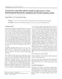 Image result for Courtoisina cyperoides