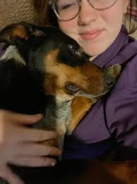 Kalamazoo County Lost/Found Pets