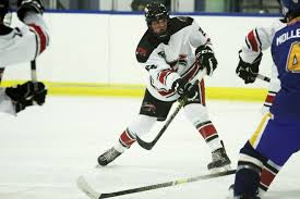 Navigating Aaa Hockey And Beyond, The Good, The Bad And The Ugly.