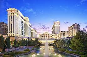 11 Top Pet Friendly Hotels In Las Vegas Planetware