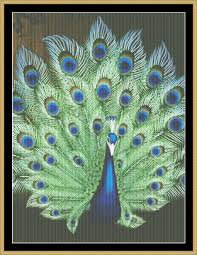 See more ideas about cross stitch patterns, cross stitch, stitch patterns. Peacock Portrait I Rnfp 321 16 00 Mystic Stitch Inc The Fine Art Of Counted Cross Stitch Pat Cross Stitch Xstitch Patterns Animal Cross Stitch Patterns