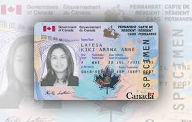 You can change the title, name, birthdate. Buy Fake Canadian Id Card Online Buy Real Canadian Id Card Online