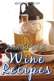 101 homemade wine recipes make at