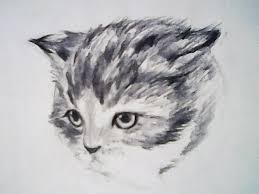 If you like this funny cat, follow the steps below! How To Draw A Cat Slow Tutorial Youtube