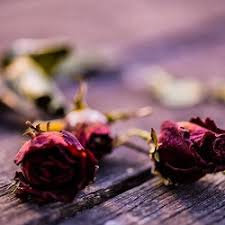 These are referred to in the tattoo industry as ritual or commemorative tattoos. Mixing Tattoo Ink With Ashes Cremation Ink