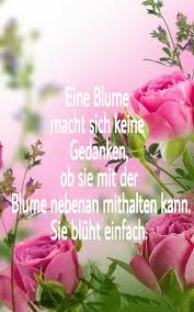 Pin Von Erad Dare Auf Spruche Lebensweisheiten Spruche Rosen Zitate Besinnliche Spruche