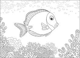 Download Surgeonfish Clipart Vector In Ai Svg Eps Or Psd