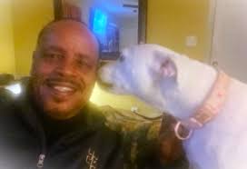 Doggo spotted riding in style