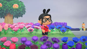 Check spelling or type a new query. Animal Crossing New Horizons Bug Off Guide And Rewards List Polygon