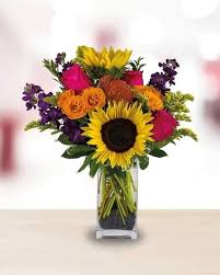 Maybe you would like to learn more about one of these? In Bloom Flowers Arlington Plano Mckinney Lewisville Carrollton